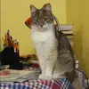 Отзыв от Юлия Исакова